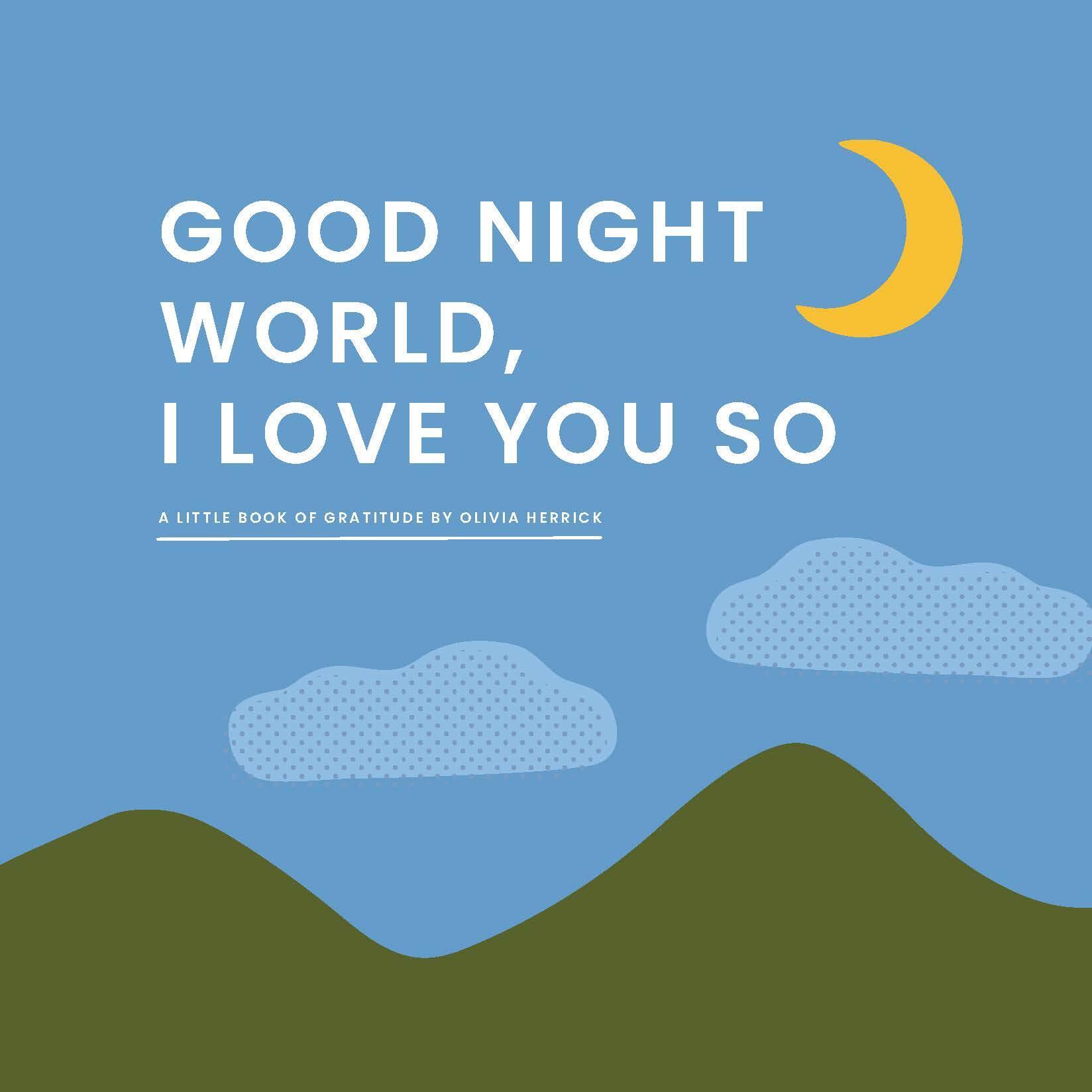 Cover: 9781641708975 | Good Night, WorldI Love You So | A Little Book of Gratitude | Herrick