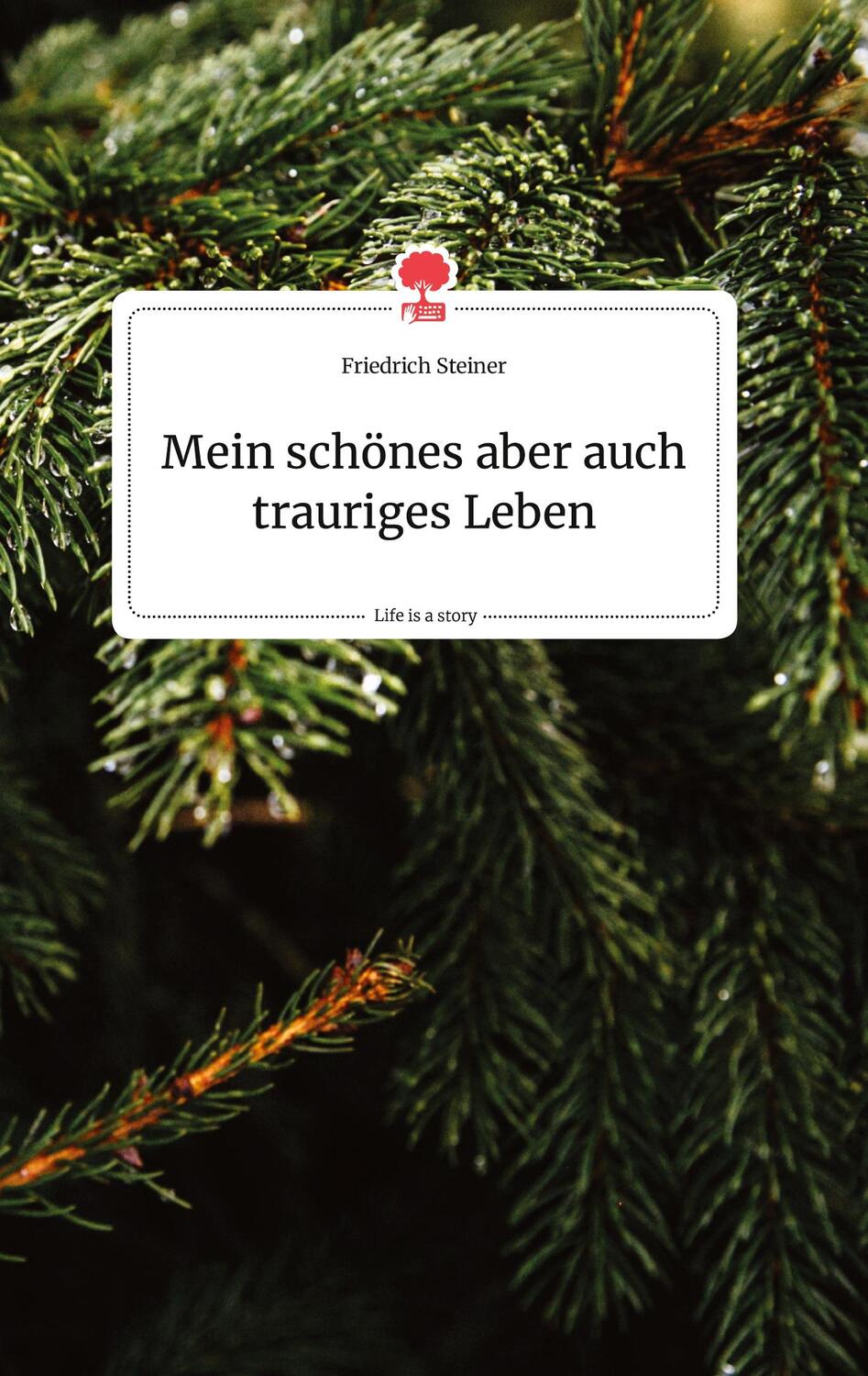 Cover: 9783990877241 | Mein schönes aber auch trauriges Leben. Life is a Story - story.one