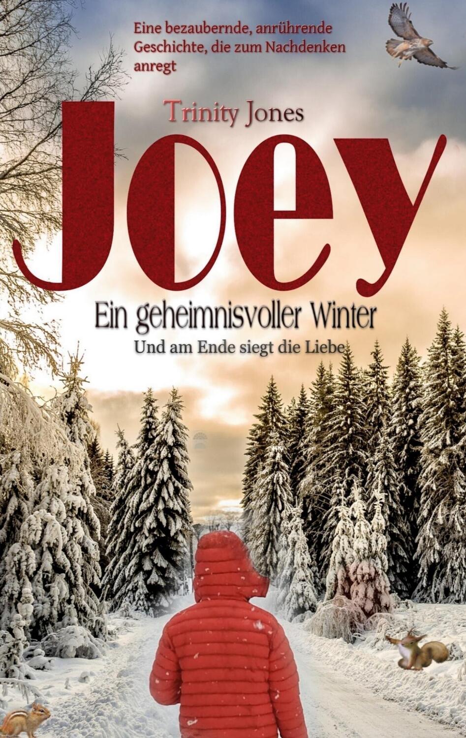Cover: 9783740786793 | Joey Ein geheimnisvoller Winter | Und am Ende siegt die Liebe | Jones