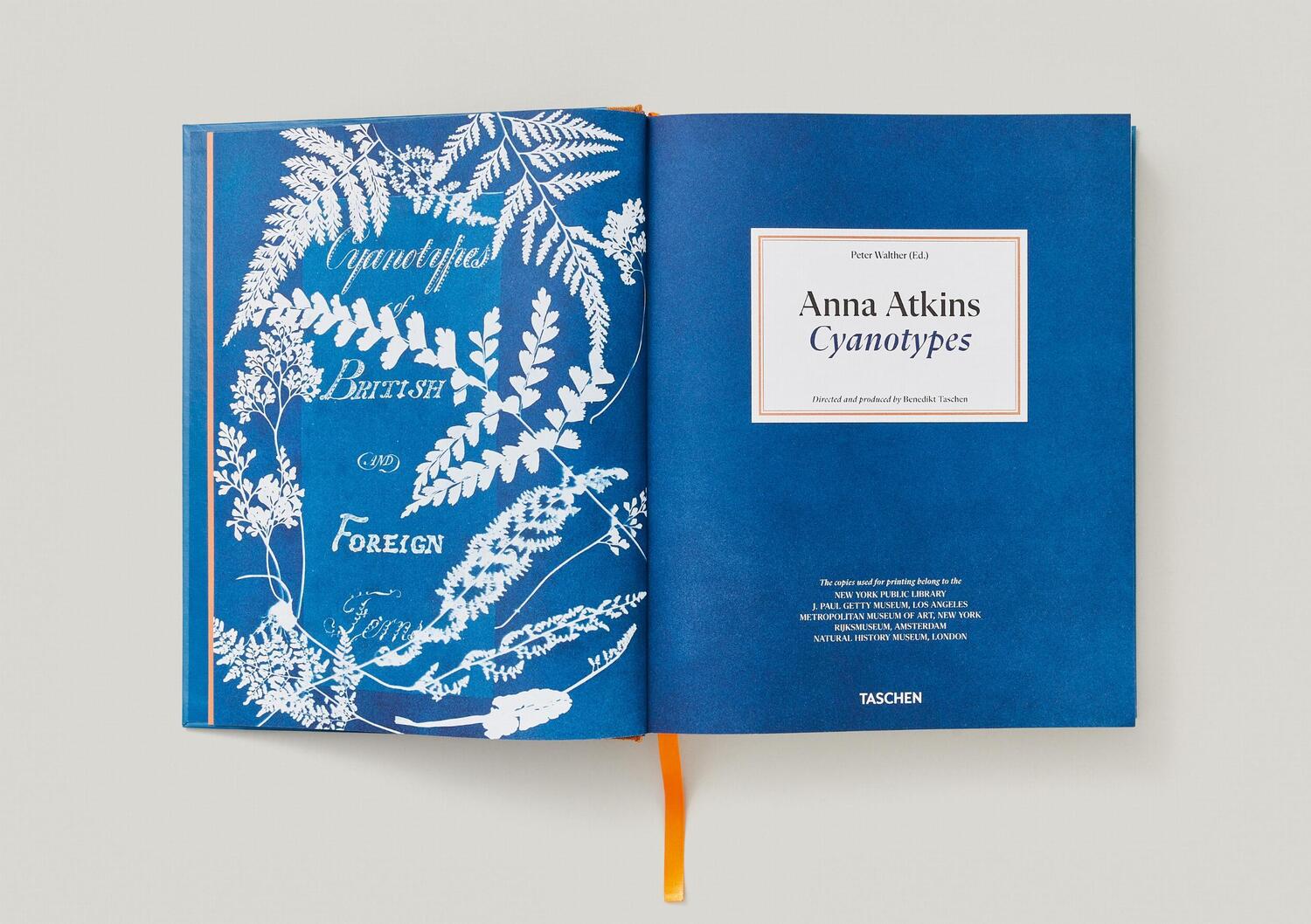 Bild: 9783836596039 | Anna Atkins. Cyanotypes | Peter Walther | Buch | Schuber | 660 S.