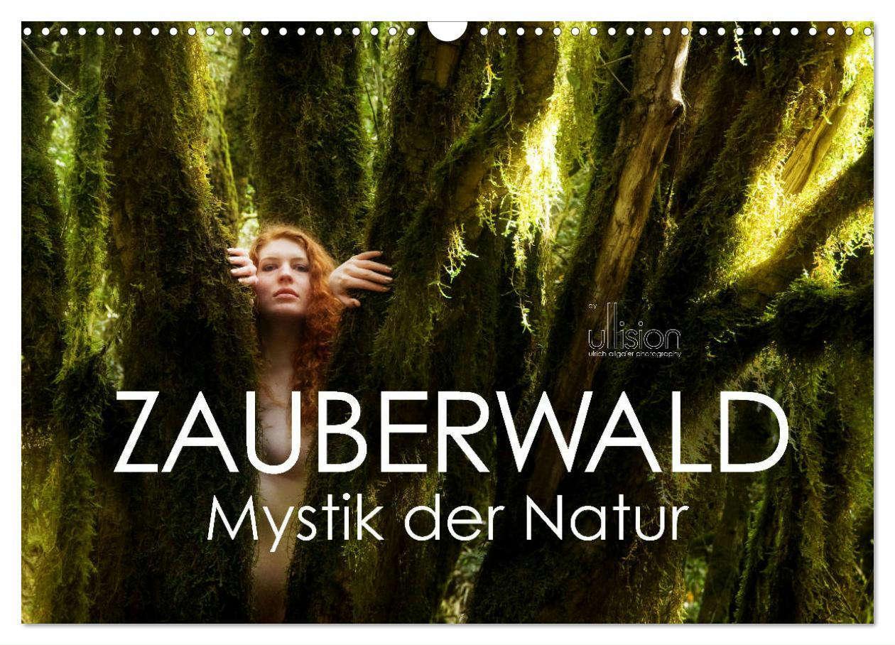 Cover: 9783435337491 | ZAUBERWALD Mystik der Natur (Wandkalender 2025 DIN A3 quer),...