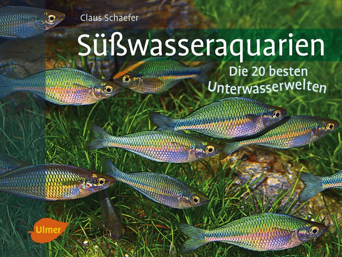 Cover: 9783800132522 | Süßwasseraquarien | Die 20 besten Unterwasserwelten | Claus Schaefer
