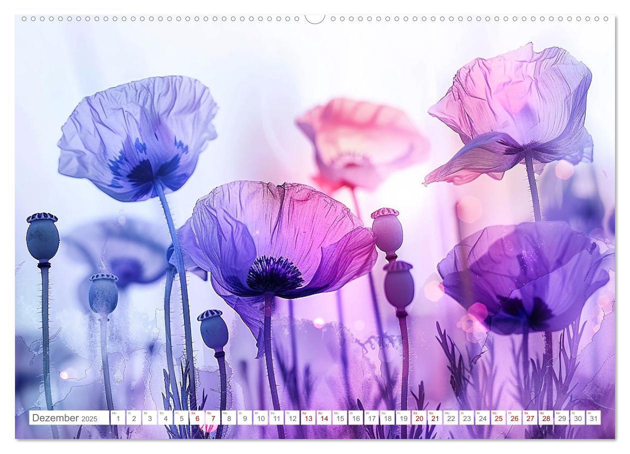 Bild: 9783383814655 | Bezaubernde Mohnblumen (hochwertiger Premium Wandkalender 2025 DIN...