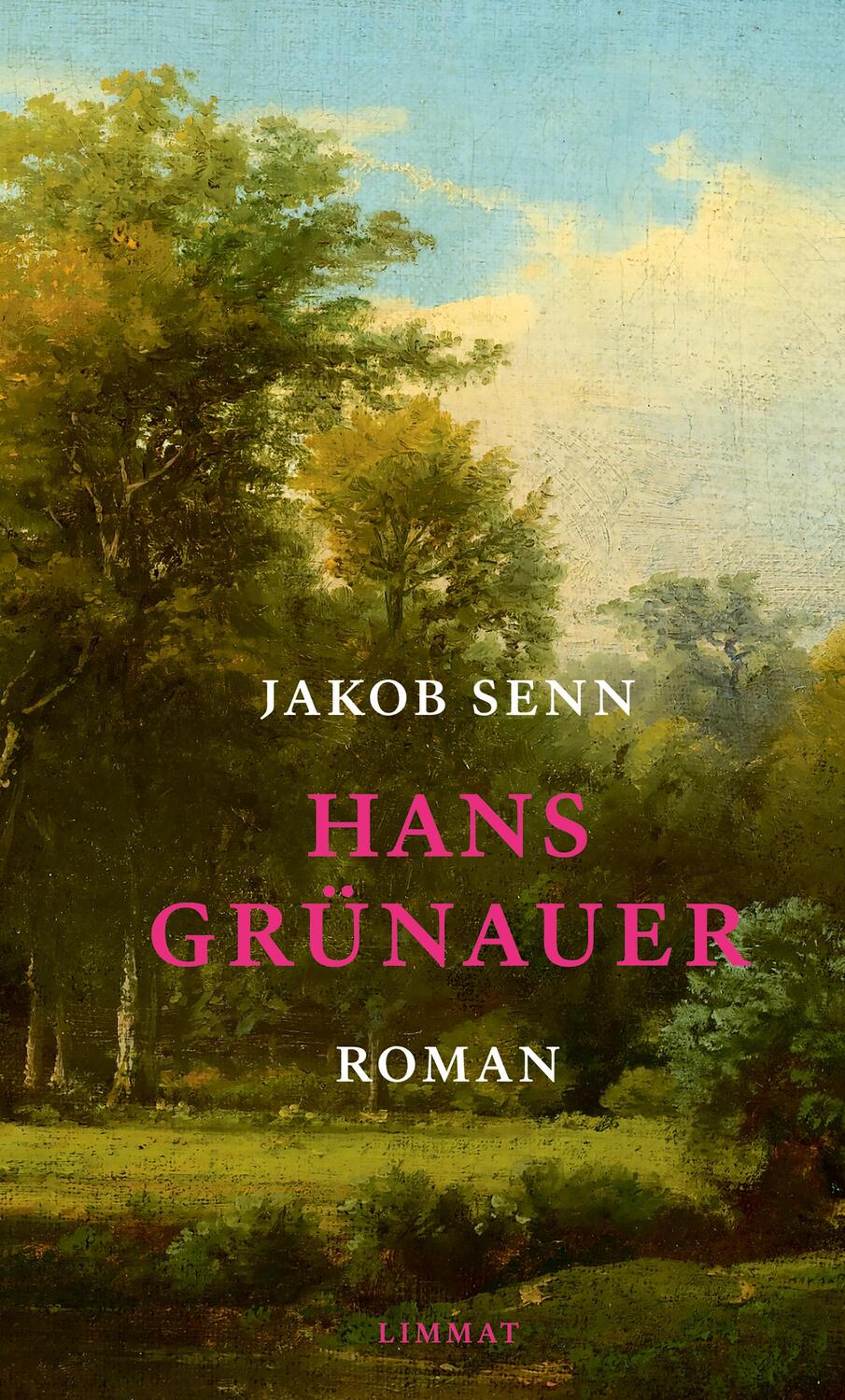 Cover: 9783039260652 | Hans Grünauer | Roman | Jakob Senn | Taschenbuch | 360 S. | Deutsch