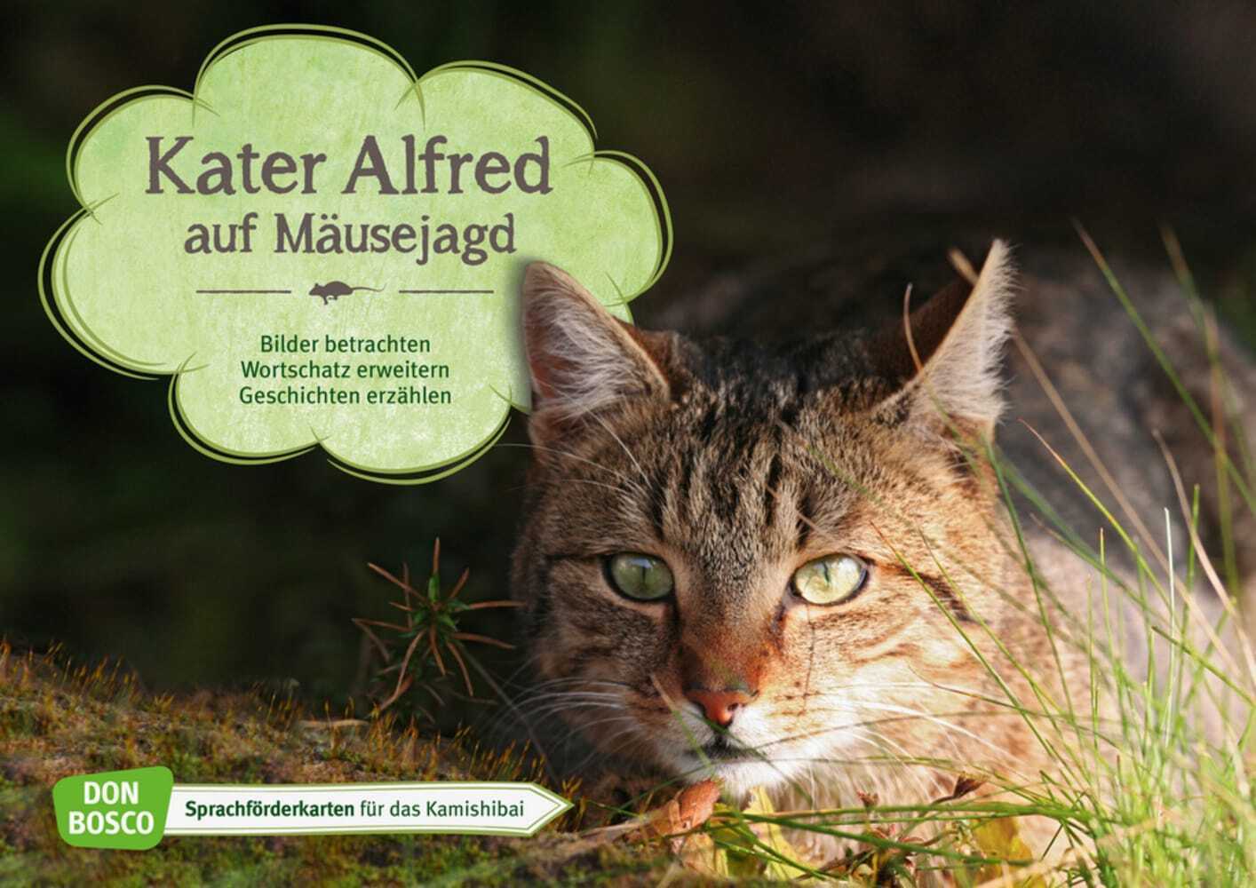 Cover: 4260179514708 | Kater Alfred auf Mäusejagd. Kamishibai Bildkartenset | Monika Wieber