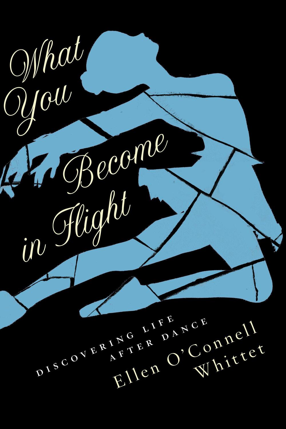 Cover: 9781612198323 | What You Become In Flight | A Memoir | Ellen O'Connell Whittet | Buch
