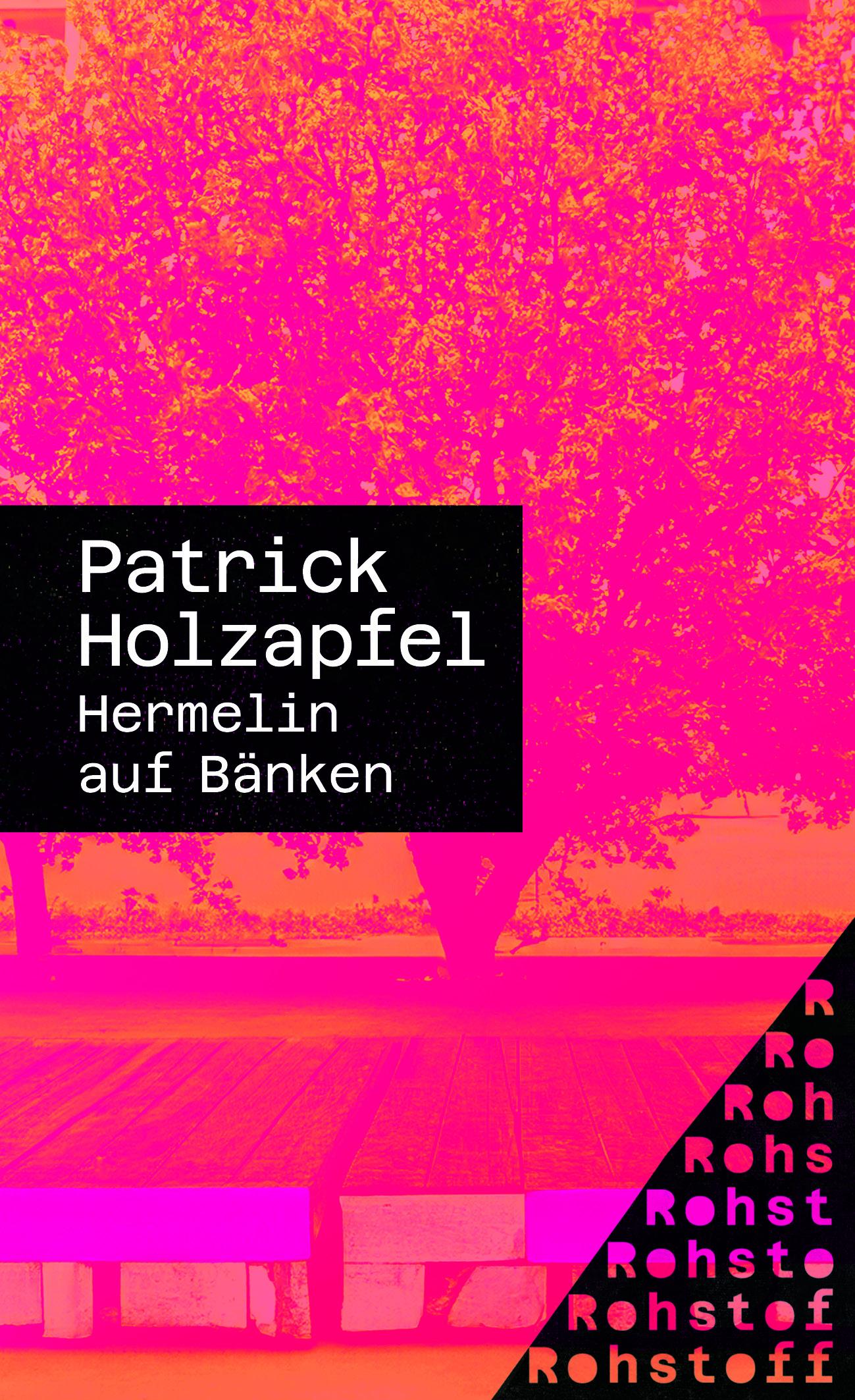 Cover: 9783751870252 | Hermelin auf Bänken | Patrick Holzapfel | Taschenbuch | 166 S. | 2024