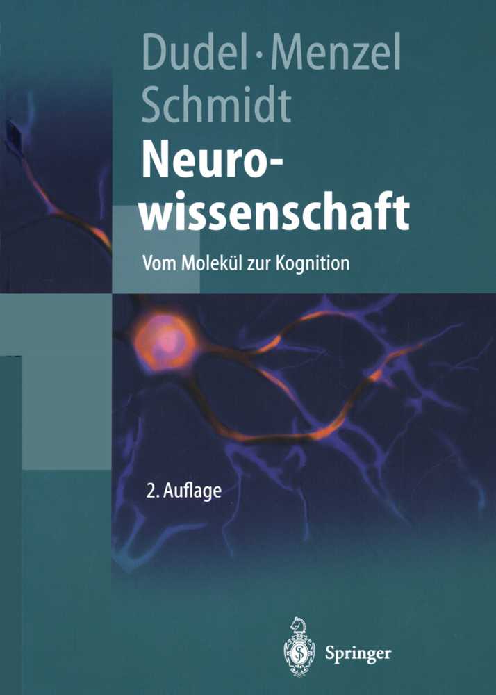 Cover: 9783642625343 | Neurowissenschaft | Vom Molekül zur Kognition | Josef Dudel (u. a.)