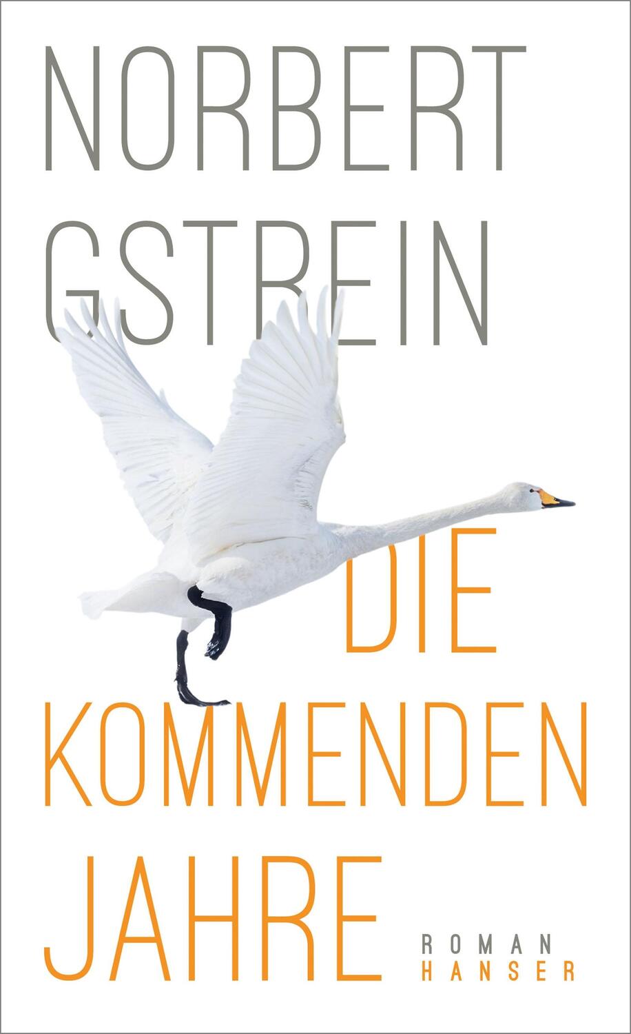 Cover: 9783446258143 | Die kommenden Jahre | Norbert Gstrein | Buch | Deutsch | 2018