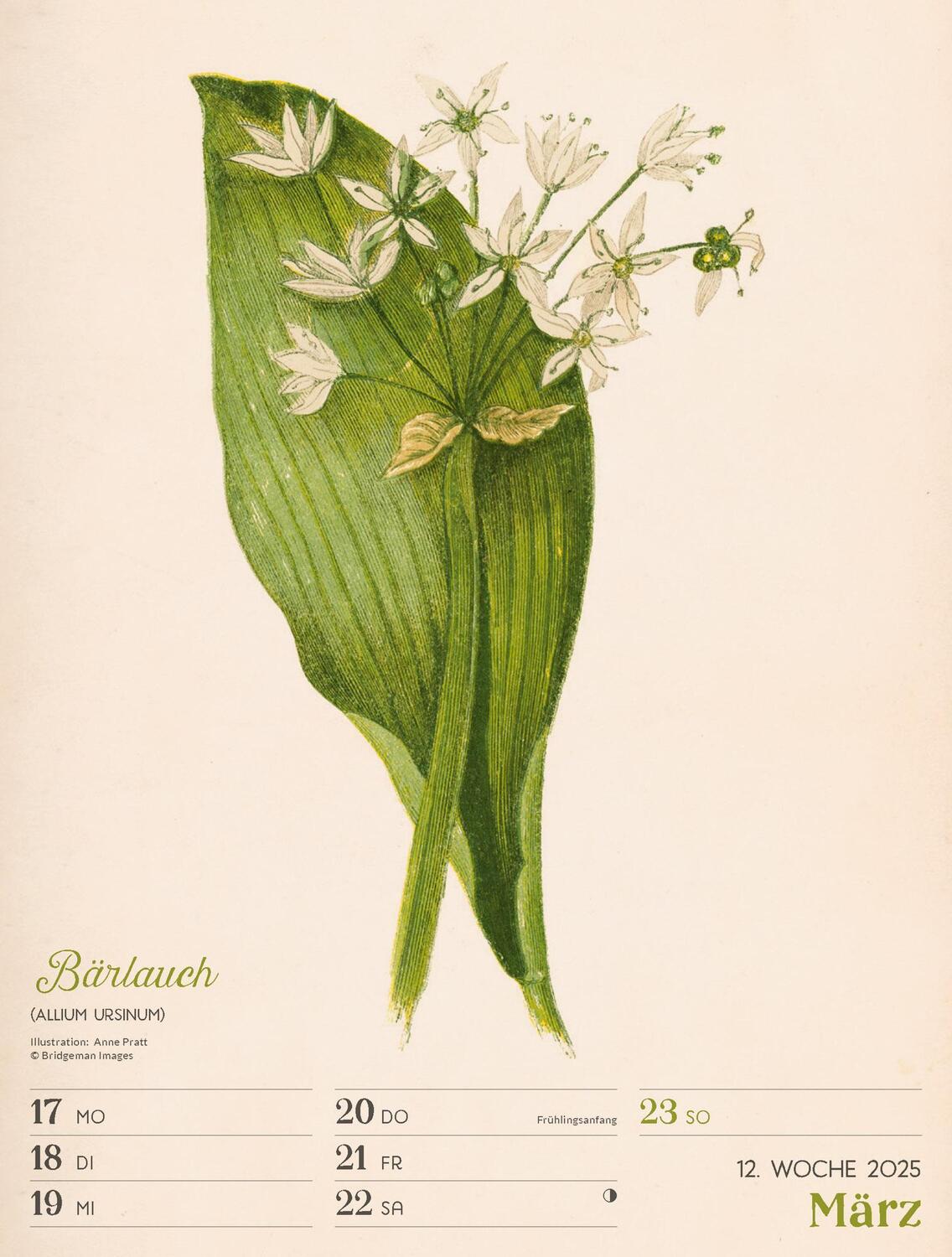 Bild: 9783838435121 | Ars Floralis - Vintage Wochenplander Kalender 2025 | Kunstverlag