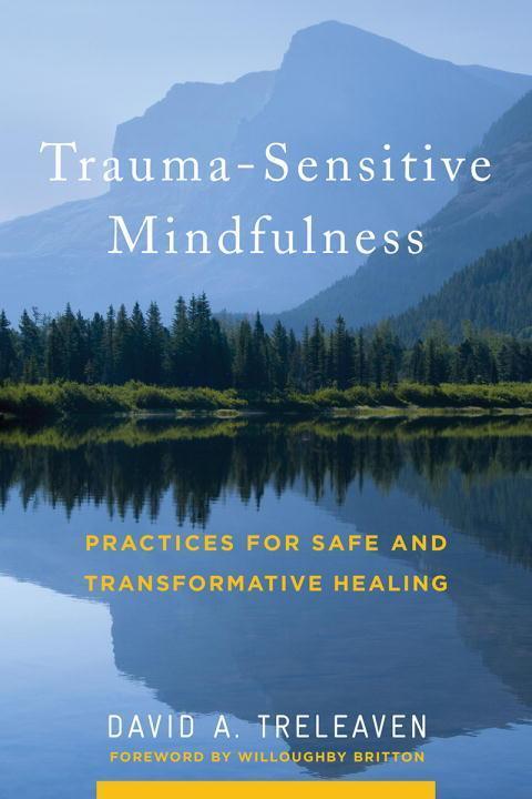Cover: 9780393709780 | Trauma-Sensitive Mindfulness | David A. Treleaven | Buch | Englisch