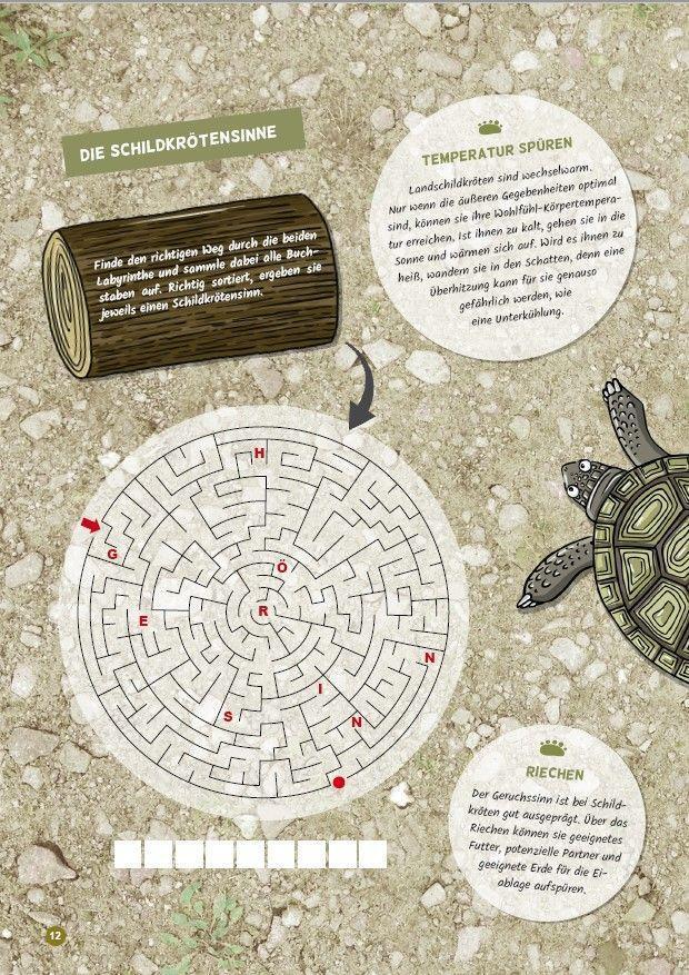 Bild: 9783944484365 | Faszination Schildkröte - das besondere Rätsel-, Mal- und Wissensbuch