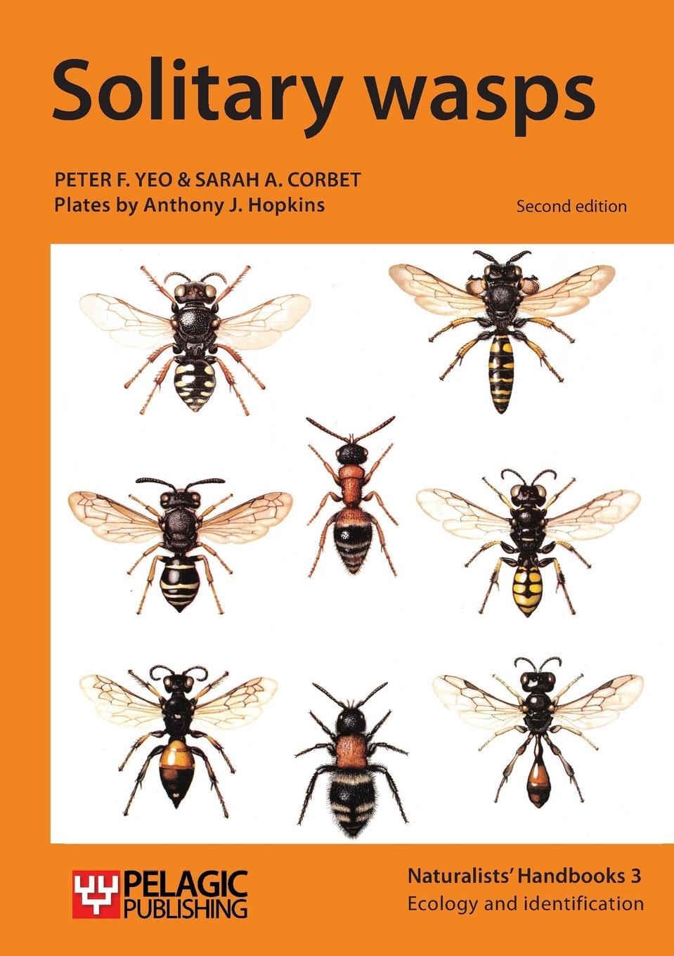 Cover: 9781784270339 | Solitary wasps | Peter F. Yeo (u. a.) | Taschenbuch | Paperback | 2015