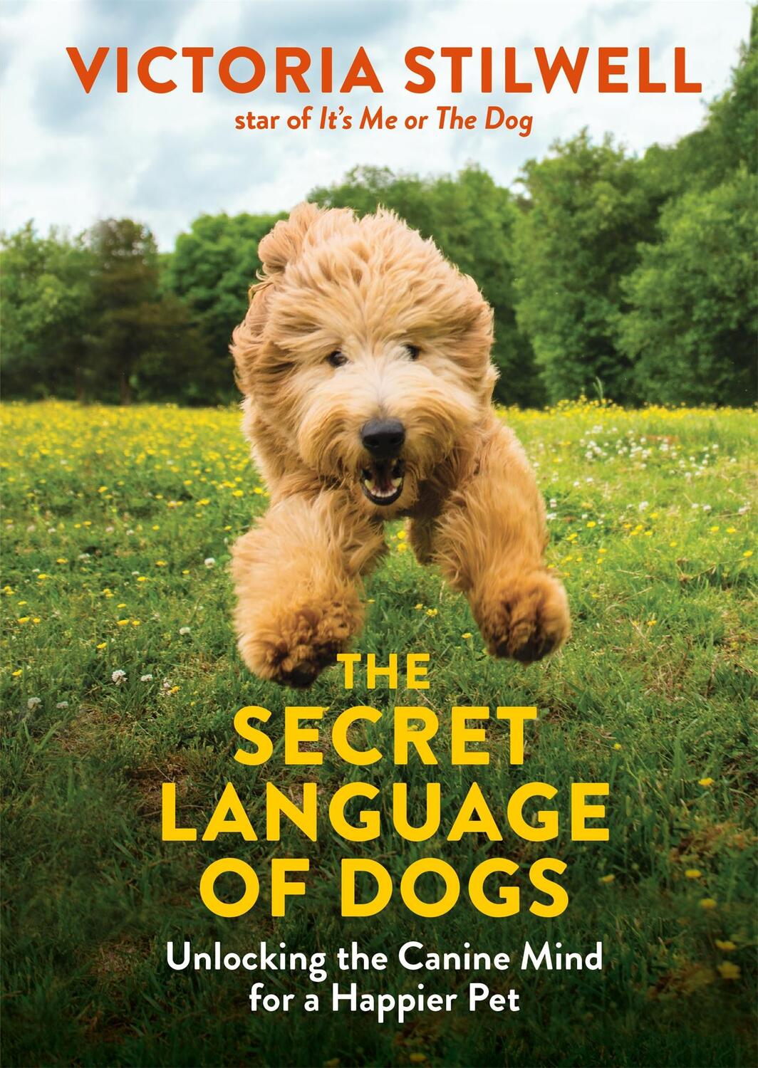 Cover: 9780600635925 | The Secret Language of Dogs | Victoria Stilwell | Taschenbuch | 2019