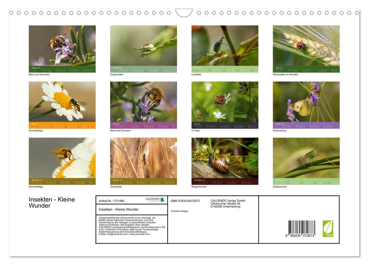 Bild: 9783435072873 | Insekten - Kleine Wunder (Wandkalender 2025 DIN A3 quer), CALVENDO...