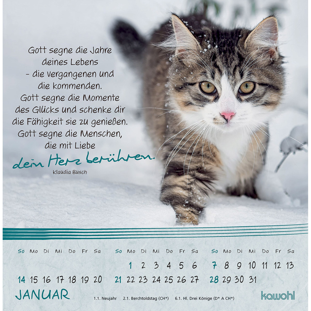 Bild: 9783754816943 | Kleine Katzen-Tatzen 2024 | Postkarten-Kalender | Kalender | 13 S.