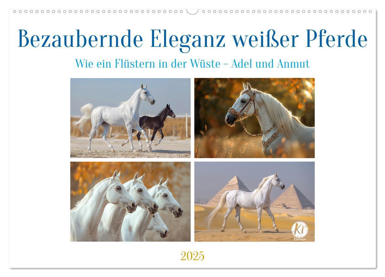 Cover: 9783435517442 | Bezaubernde Eleganz weißer Pferde (Wandkalender 2025 DIN A2 quer),...