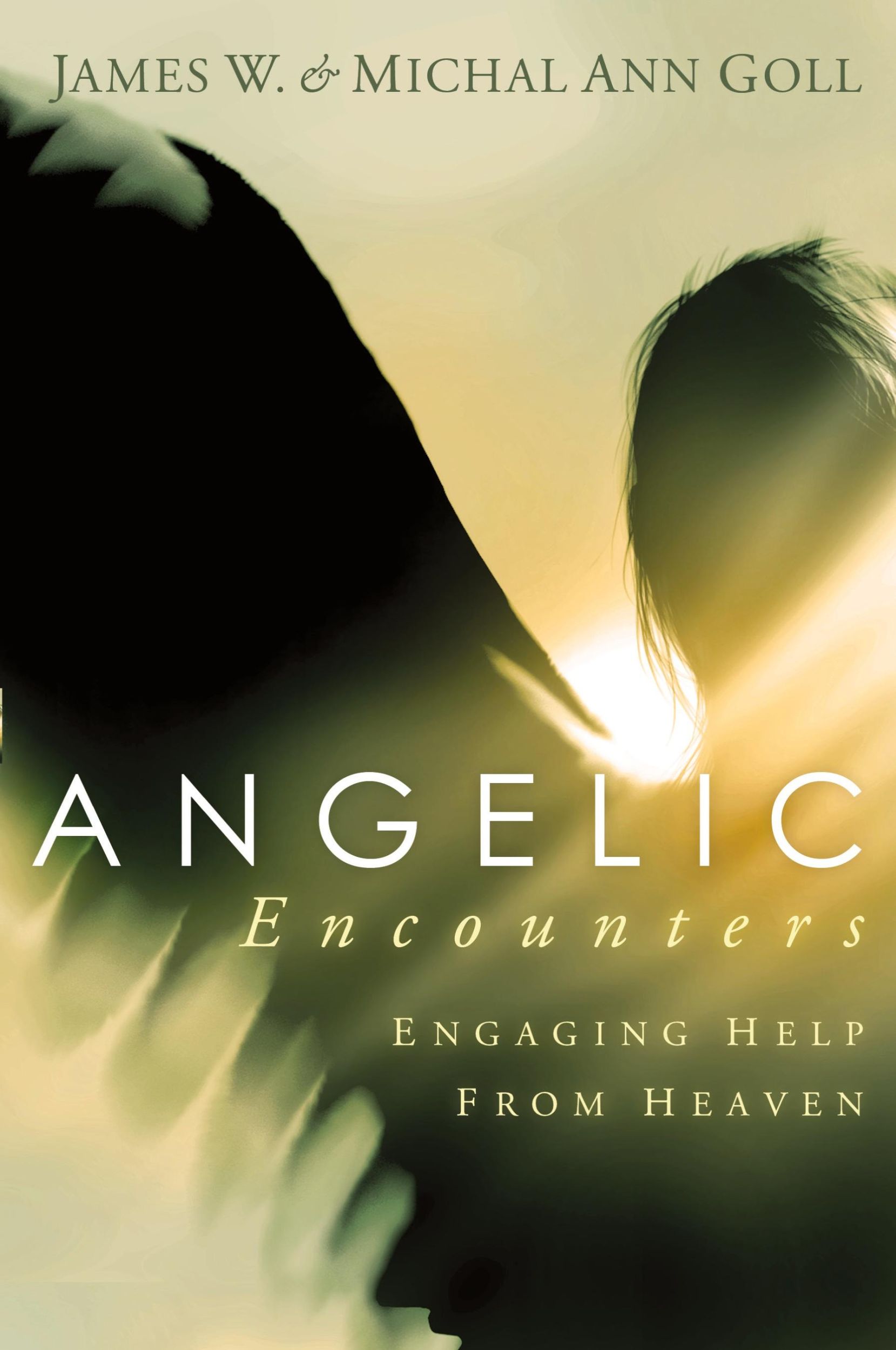 Cover: 9781599790657 | Angelic Encounters | Engaging Help from Heaven | James W Goll | Buch