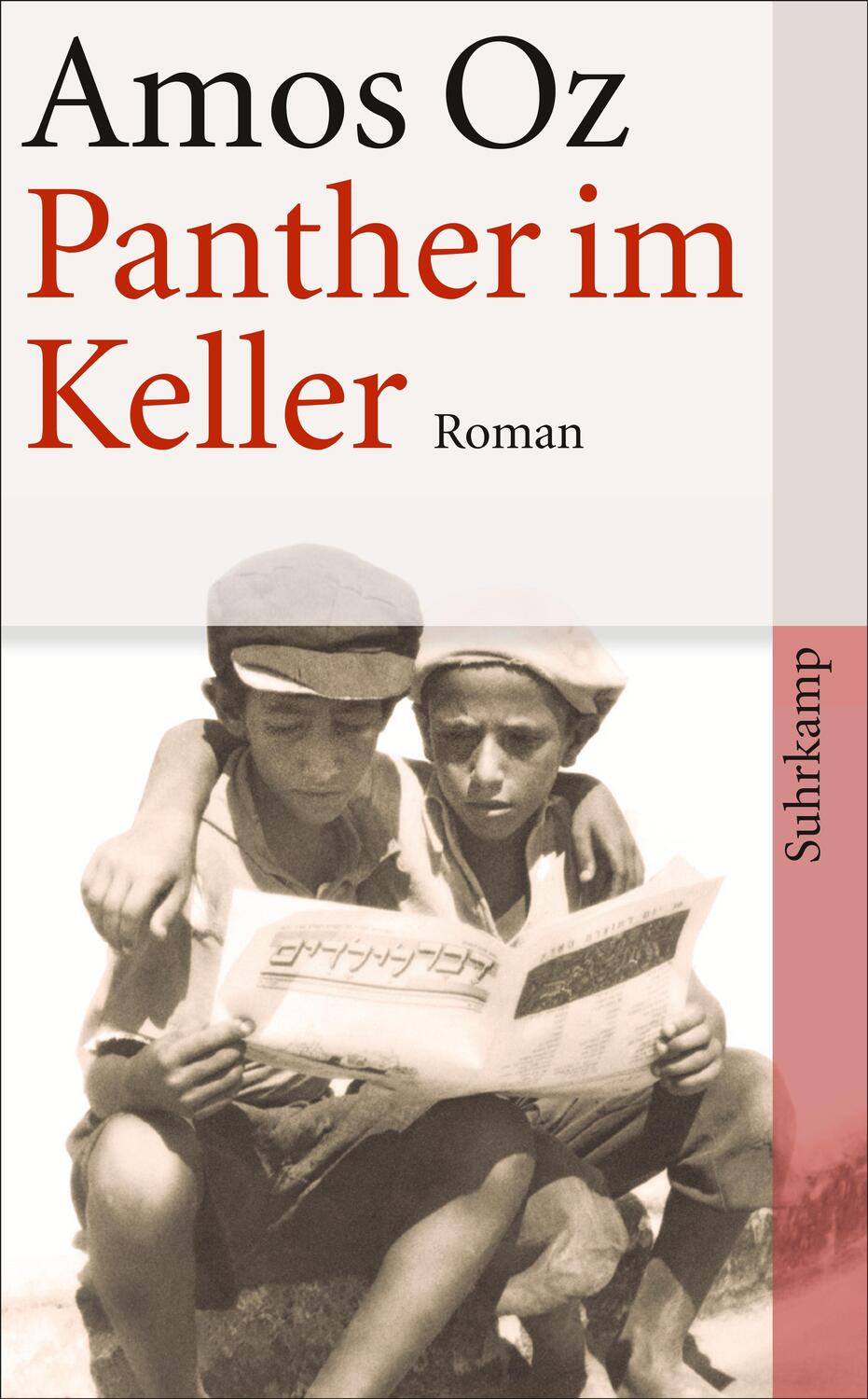 Cover: 9783518463932 | Panther im Keller | Amos Oz | Taschenbuch | 206 S. | Deutsch | 2012