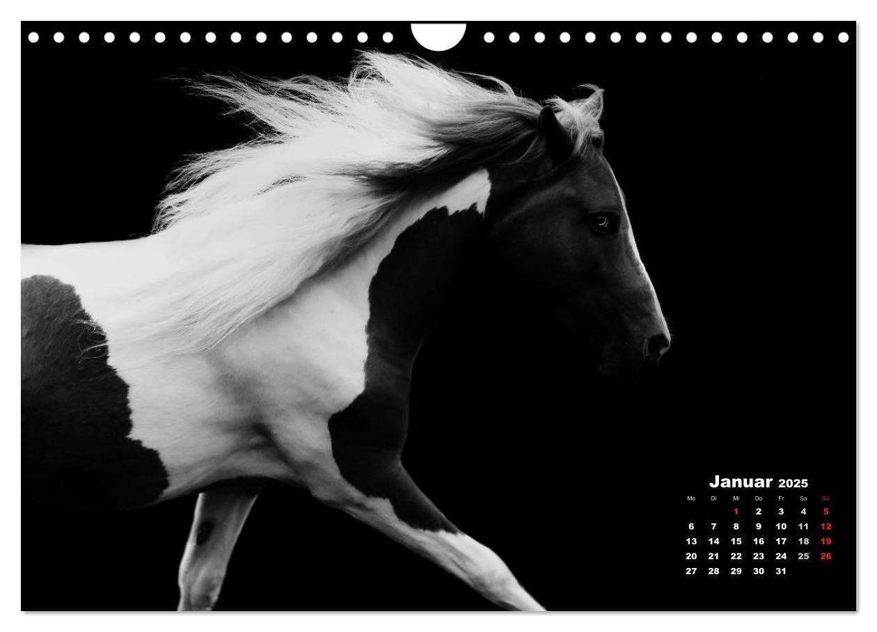 Bild: 9783435630905 | Pferde zwischen Licht und Schatten (Wandkalender 2025 DIN A4 quer),...