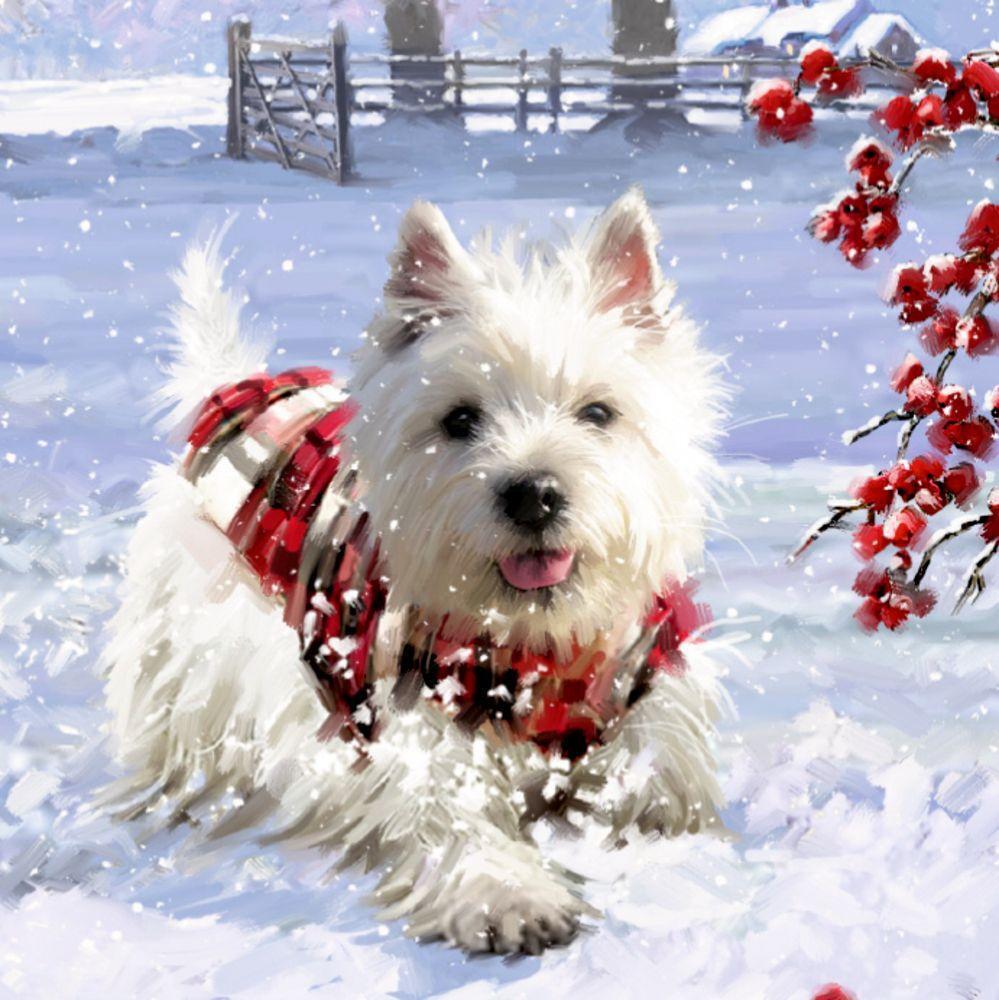 Bild: 4050003719207 | Wandkalender - Wunderbare Hunde-Weihnacht | Kalender | 1 S. | Deutsch