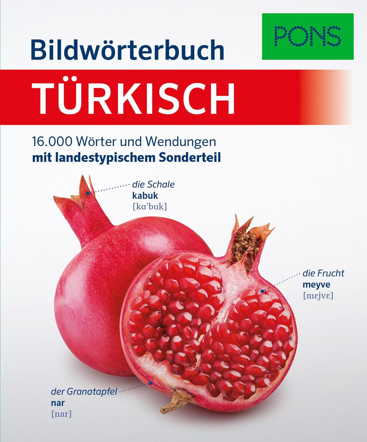 Cover: 9783125162464 | PONS Bildwörterbuch Türkisch | Taschenbuch | PONS Bildwörterbuch