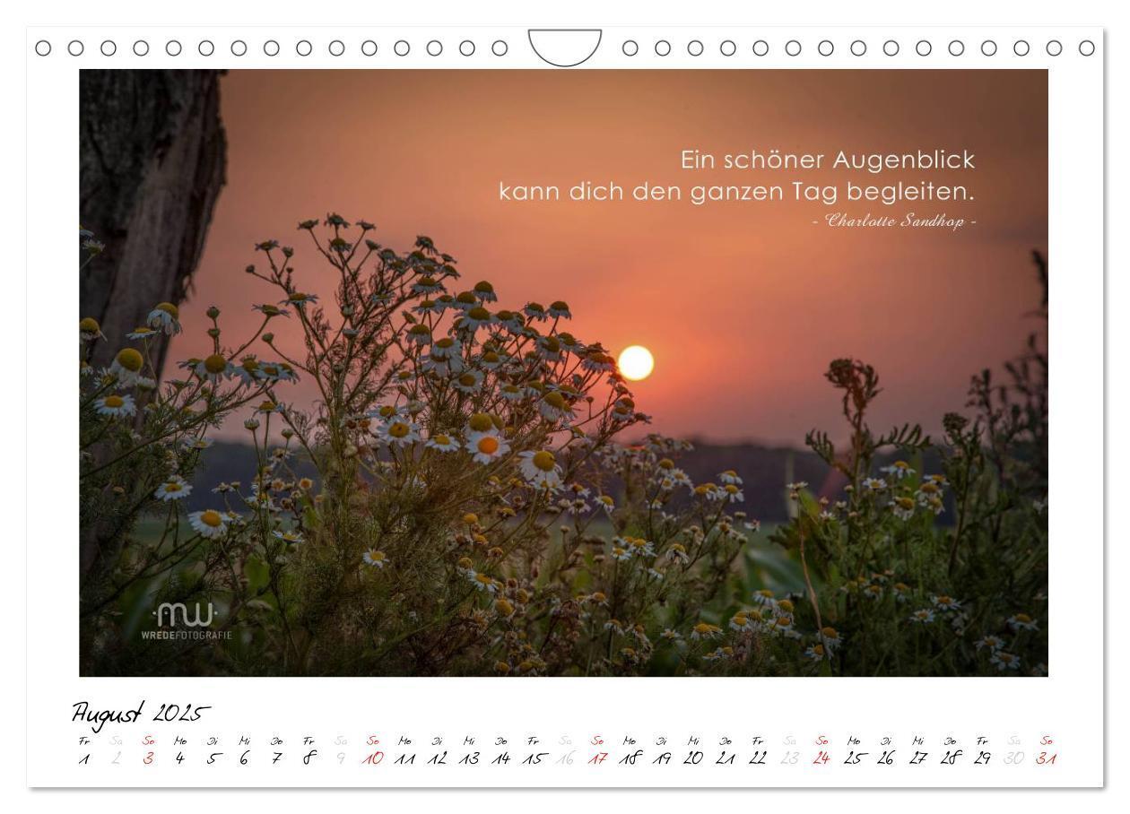 Bild: 9783435658527 | Gedanken... Bildkalender mit Sprüchen (Wandkalender 2025 DIN A4...