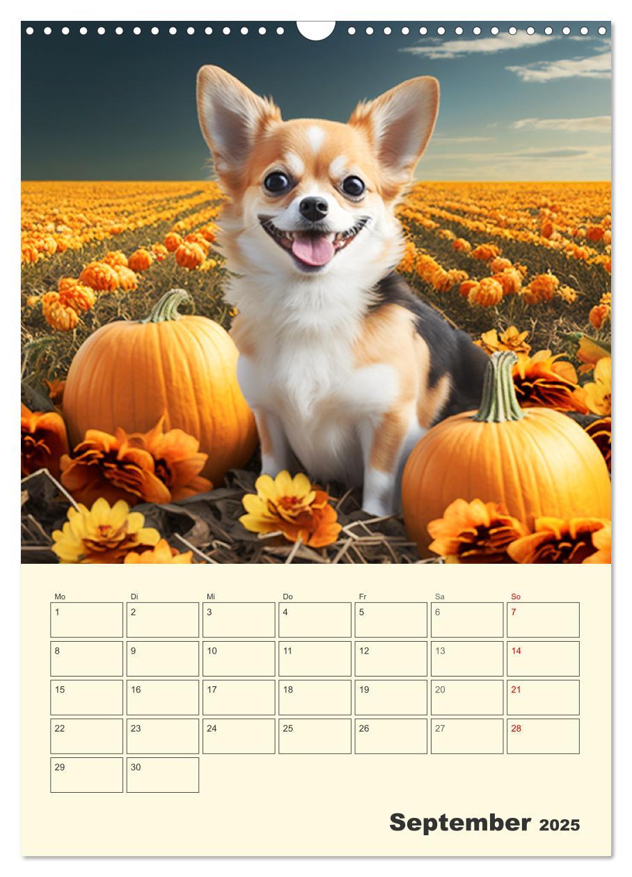 Bild: 9783435875672 | Witzige Chihuahuas. Glückliche Temperamentbündel (Wandkalender 2025...