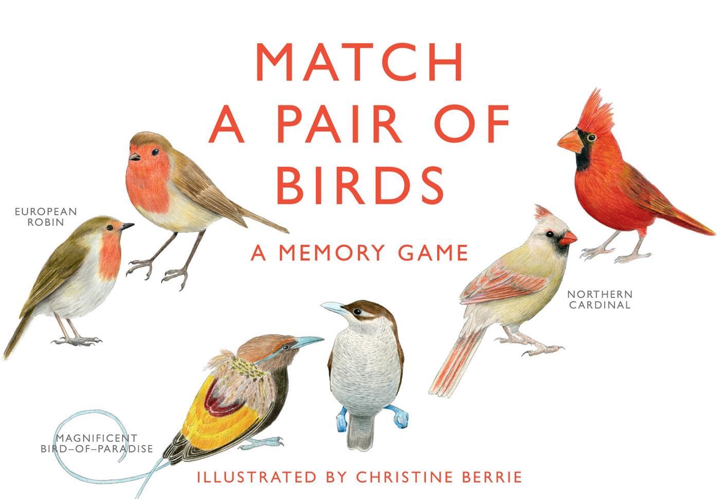 Cover: 9781856699662 | Match a Pair of Birds | A Memory Game | Spiel | 50 S. | Englisch
