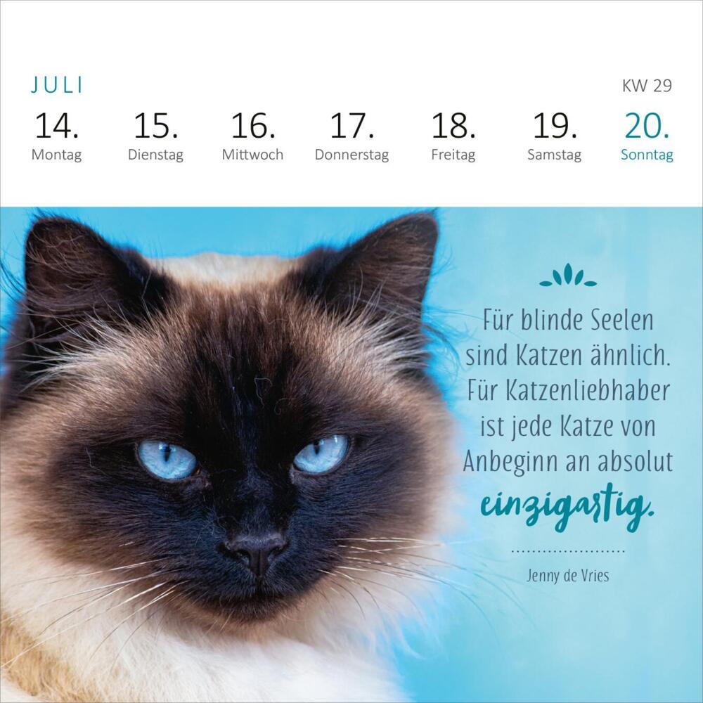 Bild: 4014489133063 | Mini-Wochenkalender Katzenweisheiten 2025 | Kalender | 108 S. | 2025