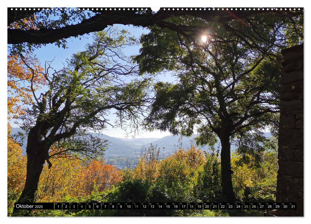 Bild: 9783383995378 | Wanderbares Miltenberg (Wandkalender 2025 DIN A2 quer), CALVENDO...