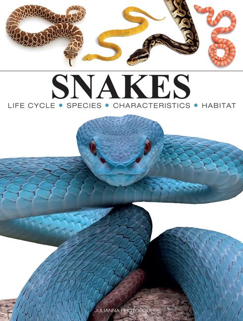 Cover: 9781838864446 | Snakes | Julianna Photopoulos | Taschenbuch | Englisch | 2024