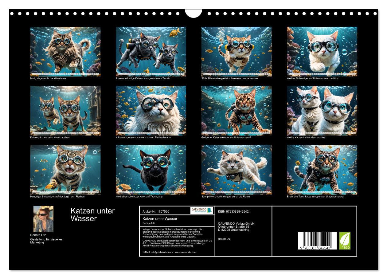 Bild: 9783383842542 | Katzen unter Wasser (Wandkalender 2025 DIN A3 quer), CALVENDO...