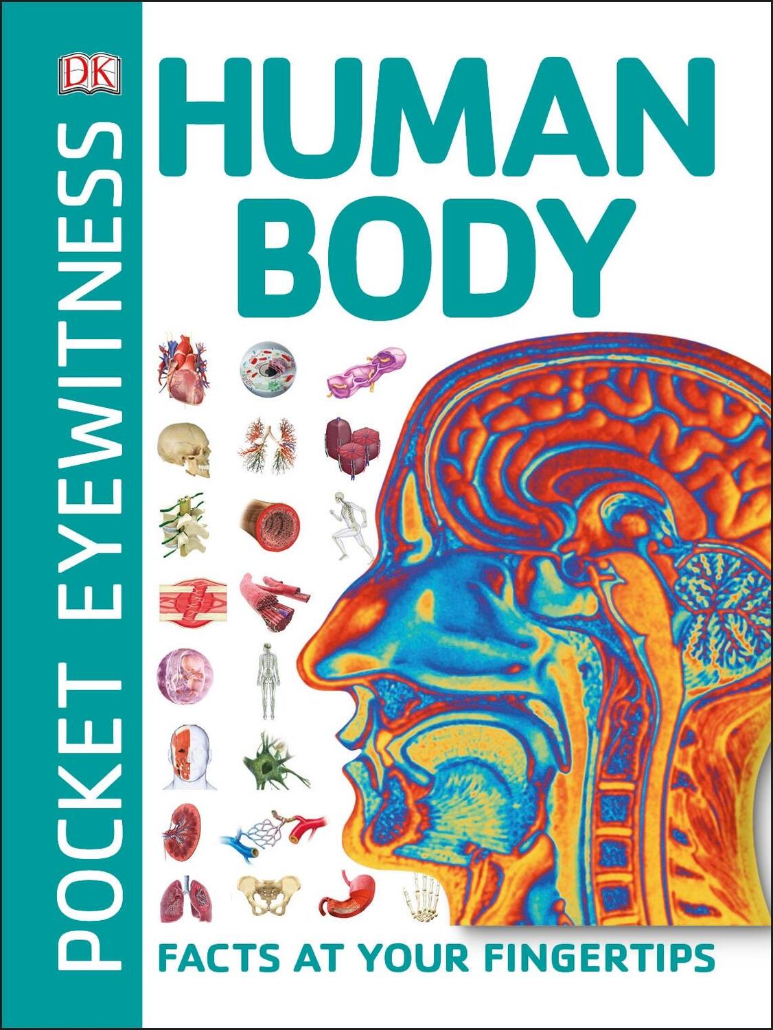 Cover: 9780241343630 | Pocket Eyewitness Human Body | Facts at Your Fingertips | DK | Buch