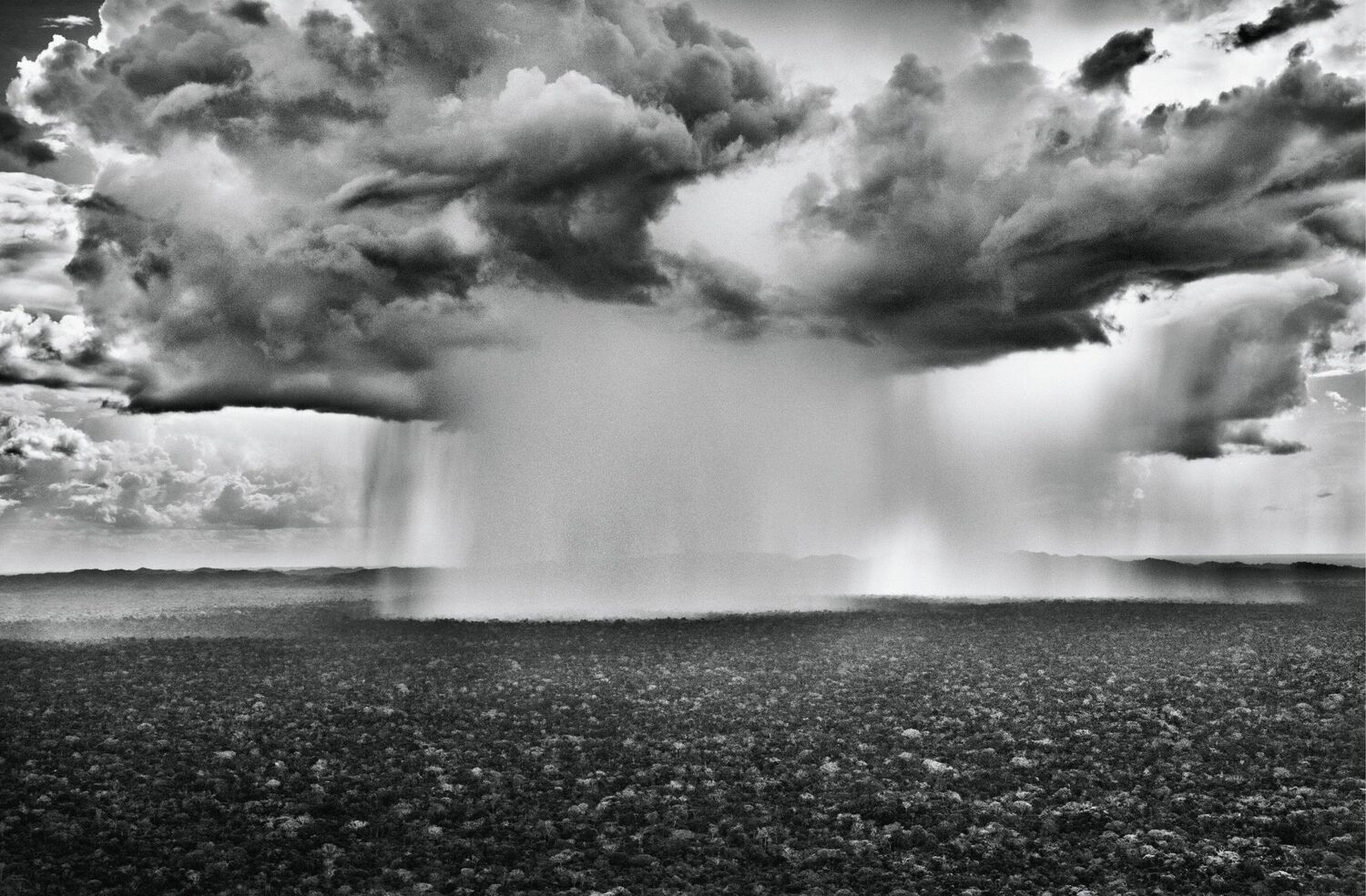 Bild: 9783907315071 | Du908 - das Kulturmagazin. Amazônia. Sebastião Salgado | Oliver Prange