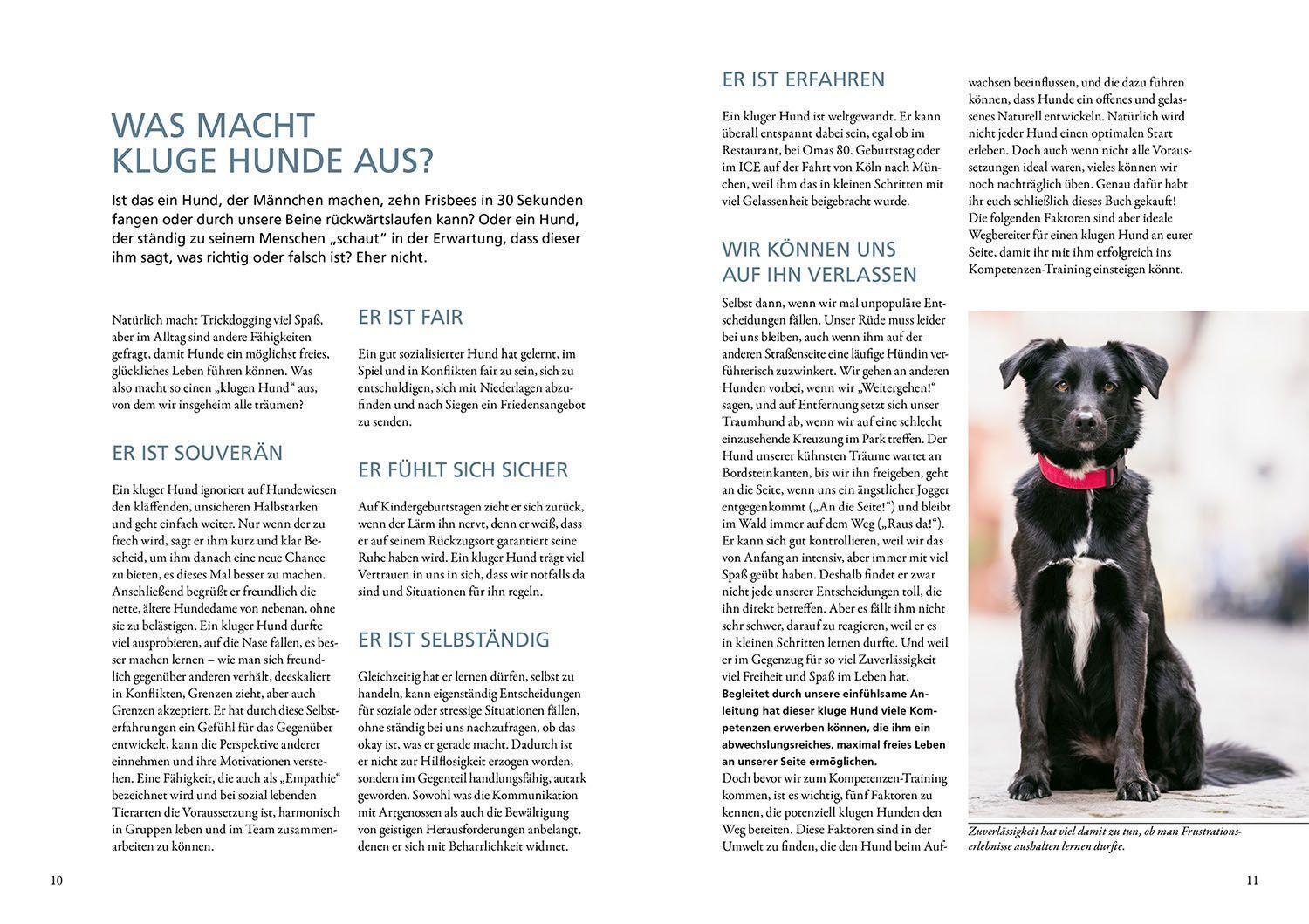 Bild: 9783440175132 | Die 10 Kompetenzen für Hunde | Kate Kitchenham | Buch | 200 S. | 2023