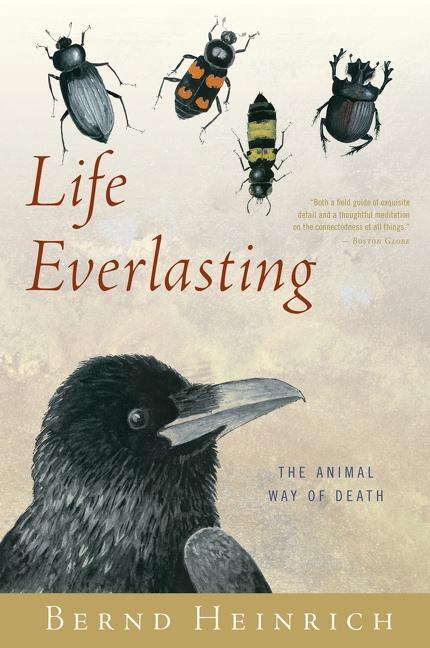 Cover: 9780544002265 | Life Everlasting: The Animal Way of Death | Bernd Heinrich | Buch