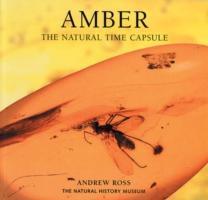 Cover: 9780565092580 | Ross, A: Amber | The Natural Time Capsule | Andrew Ross | Taschenbuch