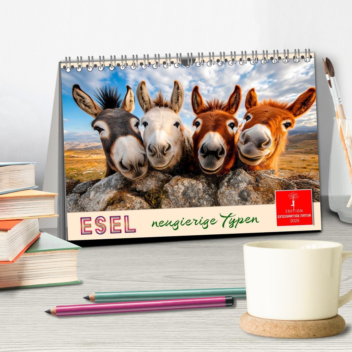 Bild: 9783457215357 | Esel - neugierige Typen (Tischkalender 2025 DIN A5 quer), CALVENDO...