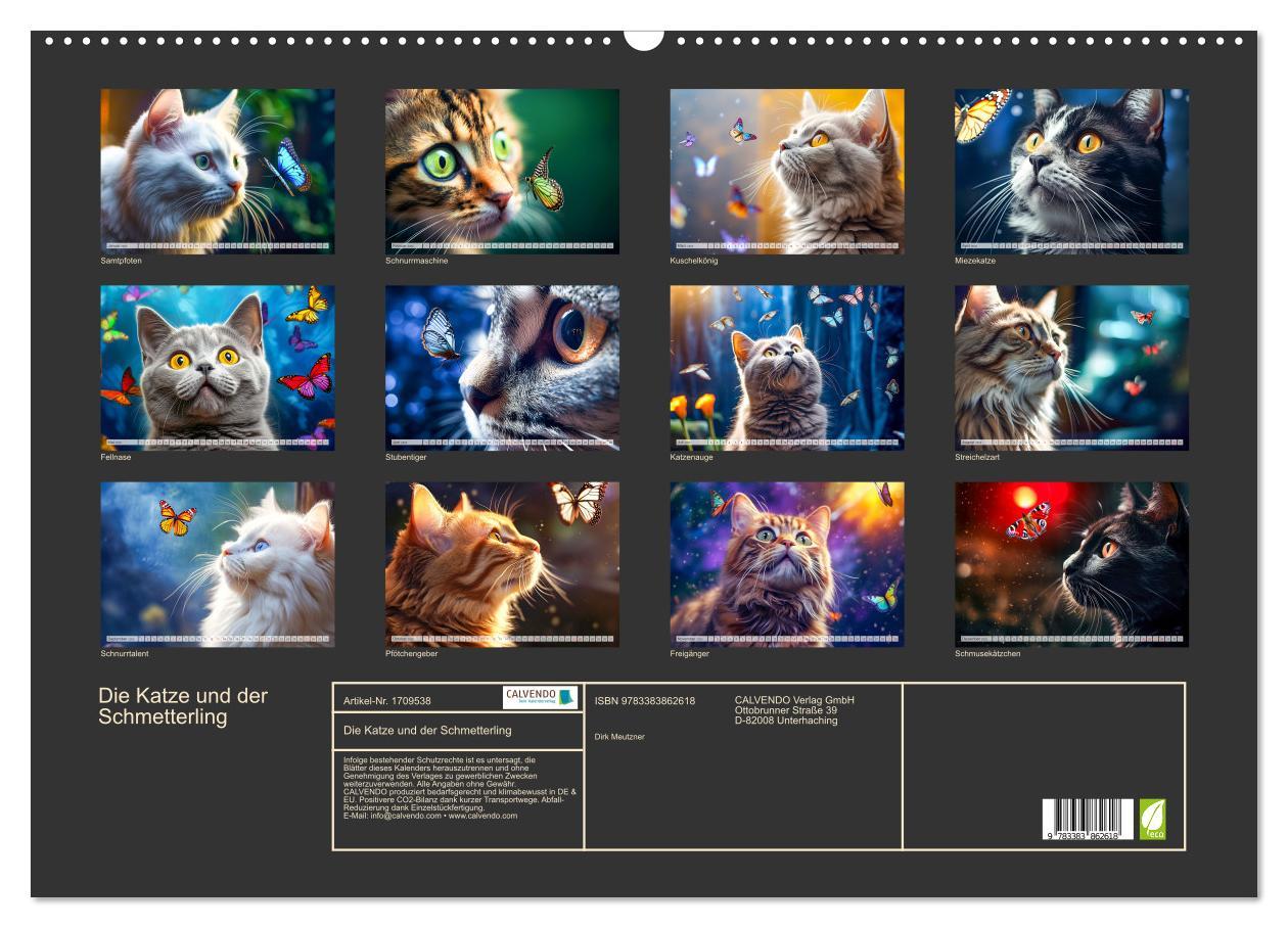 Bild: 9783383862618 | Die Katze und der Schmetterling (Wandkalender 2025 DIN A2 quer),...