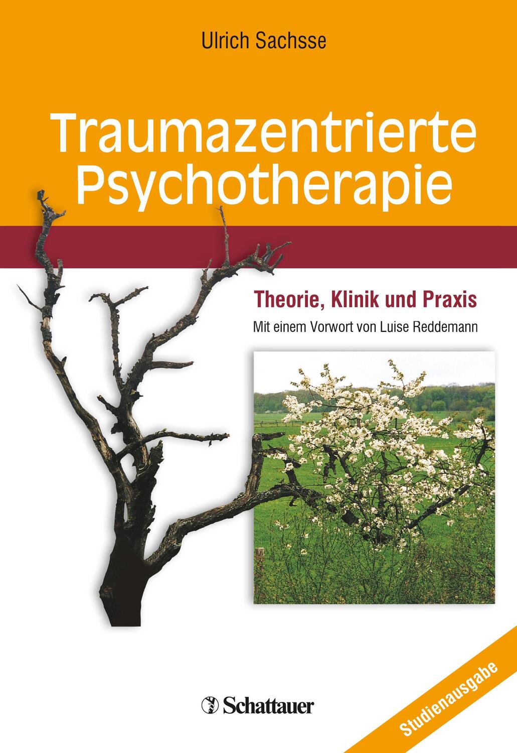 Cover: 9783794527380 | Traumazentrierte Psychotherapie | Theorie, Klinik und Praxis | Sachsse