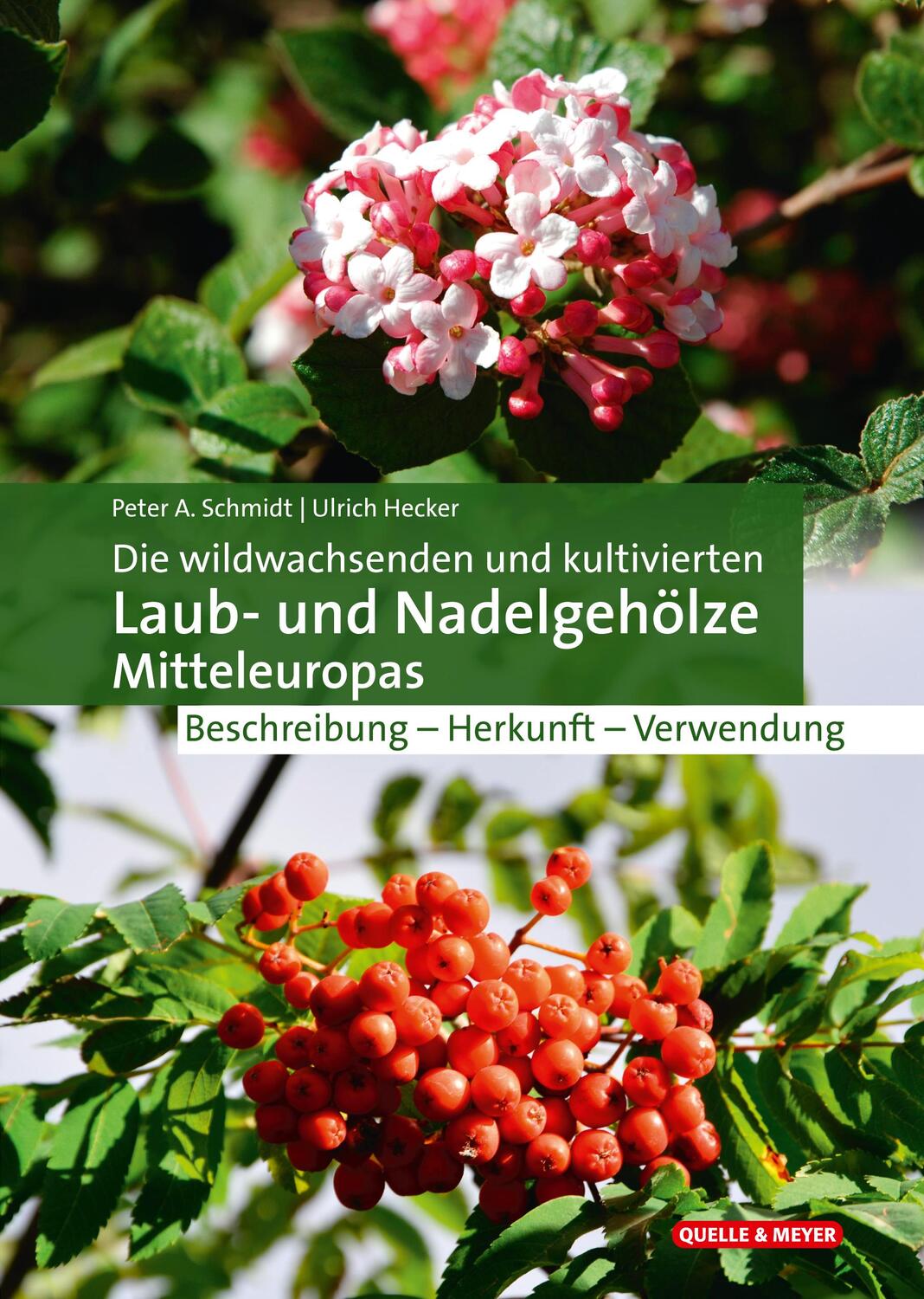 Cover: 9783494018003 | Die wildwachsenden und kultivierten Laub- und Nadelgehölze...