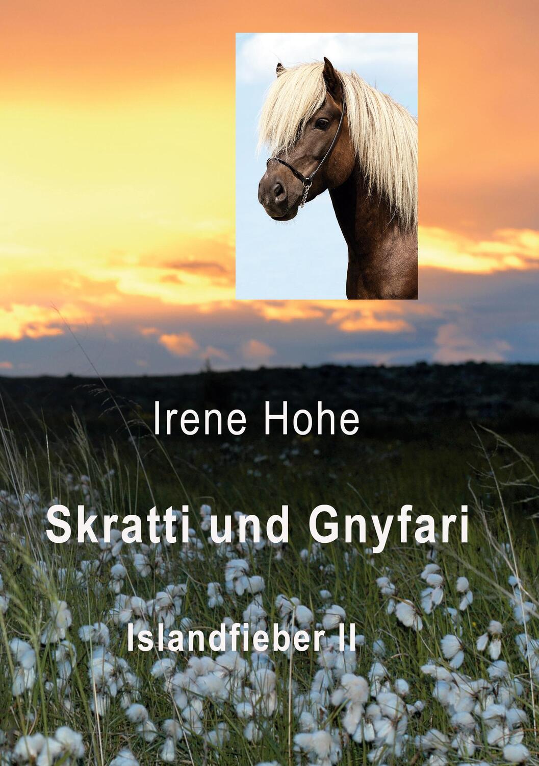 Cover: 9783981147940 | Skratti und Gnyfari | Islandfieber II | Irene Hohe | Taschenbuch