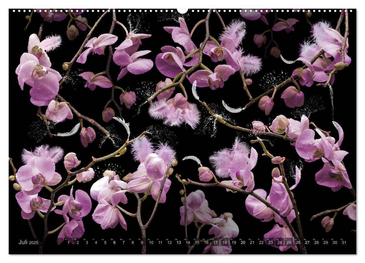 Bild: 9783383853258 | Orchidea (Wandkalender 2025 DIN A2 quer), CALVENDO Monatskalender