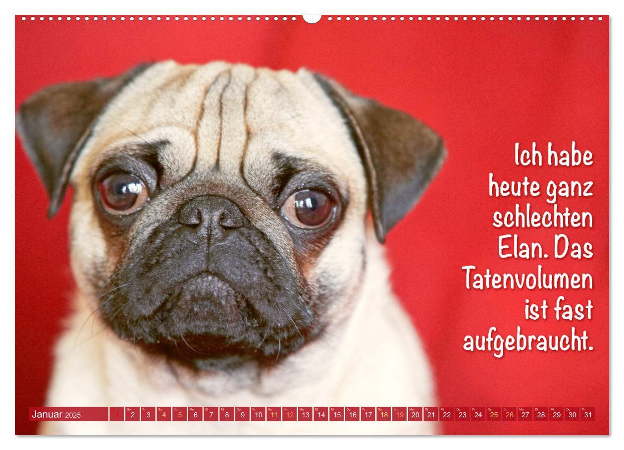 Bild: 9783435070466 | Der Mops: Nicht klein, sondern aufs Wesentliche reduziert. Edition...