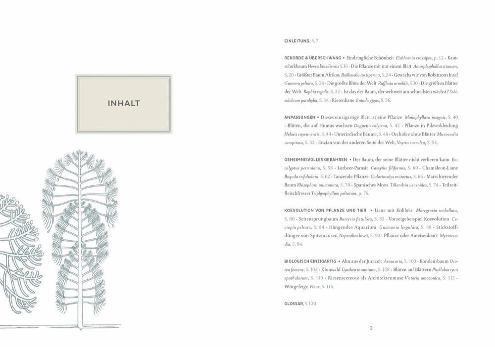 Bild: 9783954162932 | Atlas der phantastischen Pflanzen | Francis Hallé | Buch | Deutsch