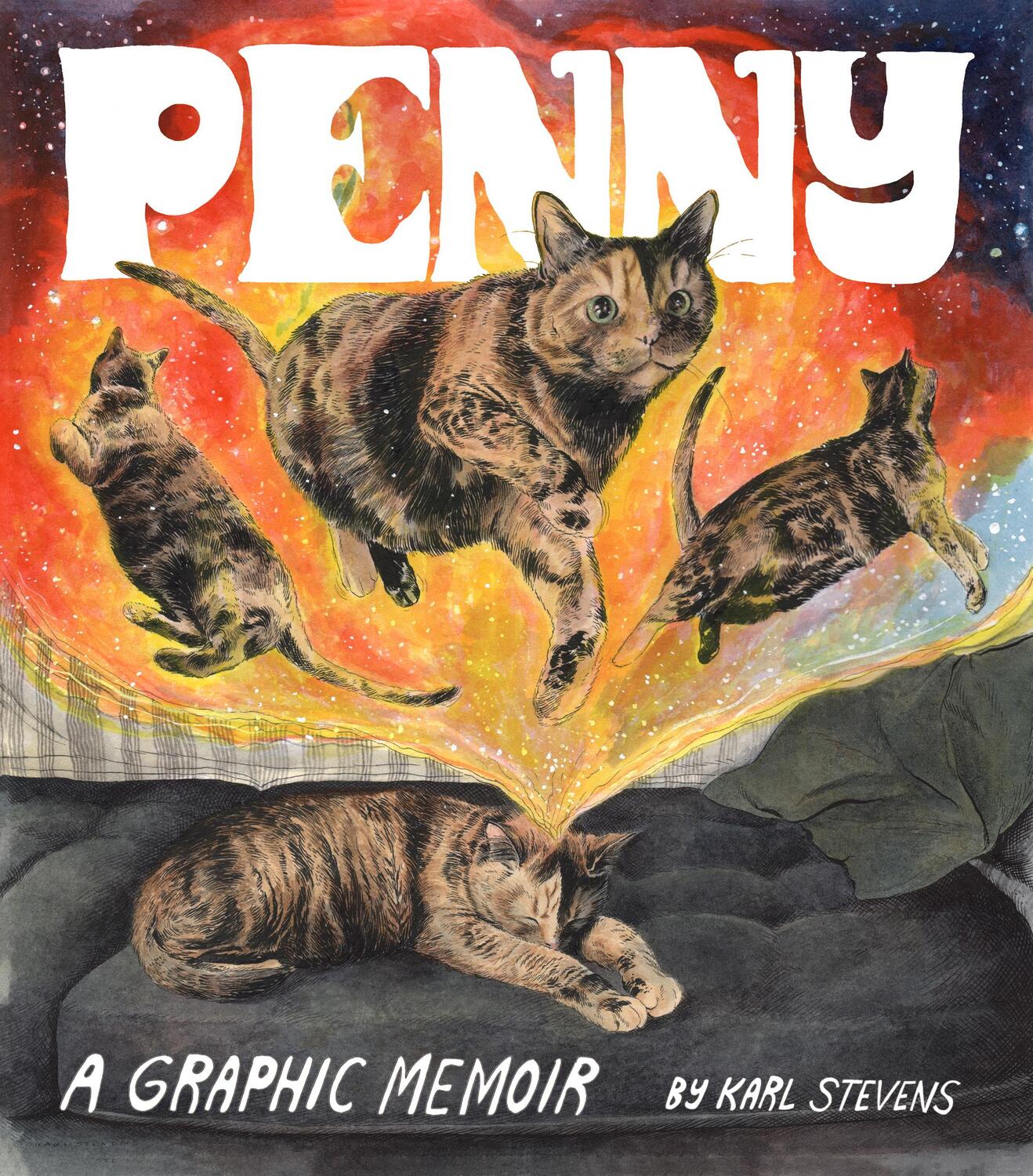 Cover: 9781452183053 | Penny | A Graphic Memoir | Karl Stevens | Taschenbuch | Englisch