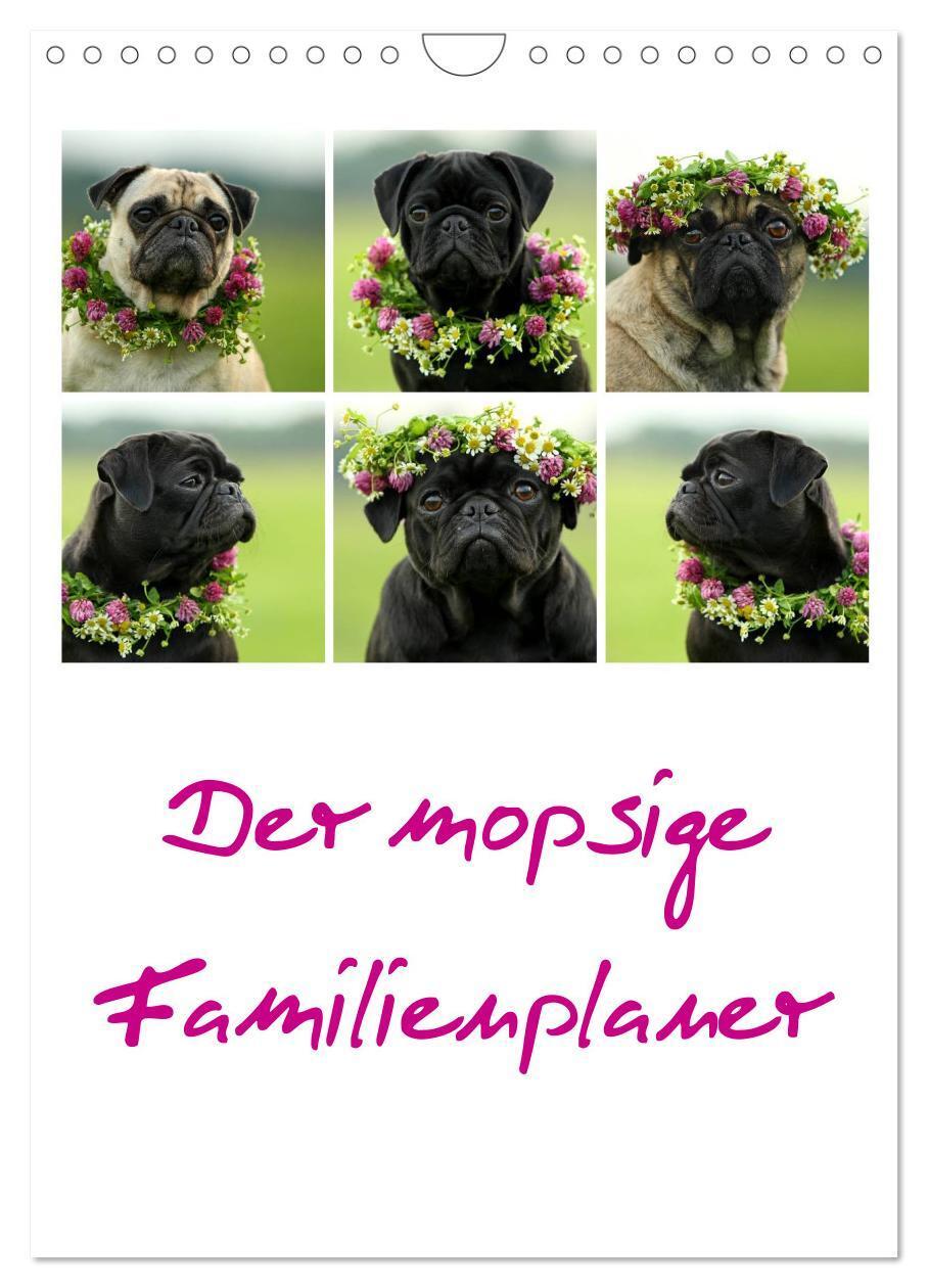 Cover: 9783383545887 | Der mopsige Familienplaner (Wandkalender 2024 DIN A4 hoch),...