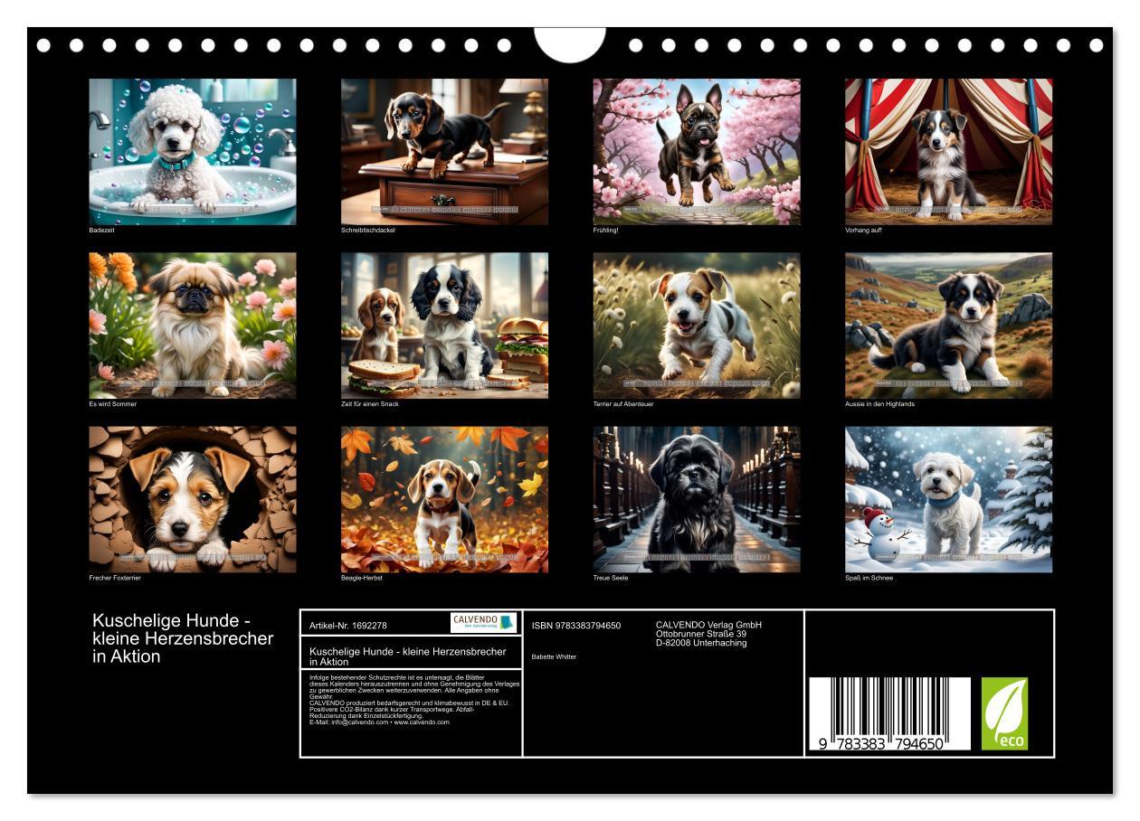 Bild: 9783383794650 | Kuschelige Hunde - kleine Herzensbrecher in Aktion (Wandkalender...