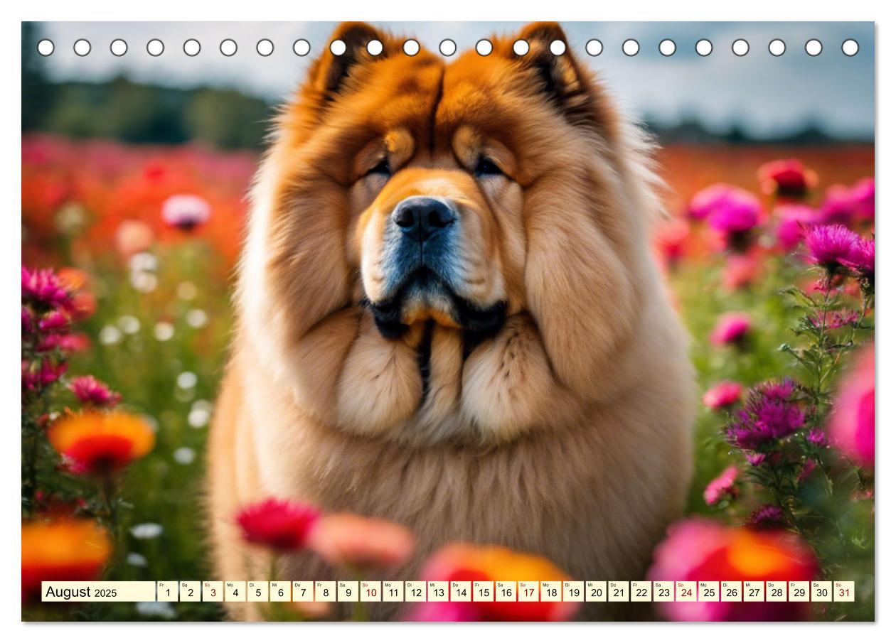 Bild: 9783457036945 | Chow Chow - der Löwenkopfhund (Tischkalender 2025 DIN A5 quer),...